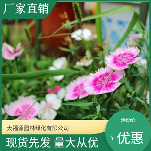 �Wʯ�� �ʺ�ʯ�����������׳ɻ��^�p���� Ѩ�P�����ֱ�N��������