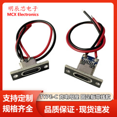 TYPE-C母座固定板ケーブル付きc口小電器diy改造充電溶接線母ソケットusbコネクタ