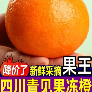 �����Ĵ���Ҋ���������r���Ӯ���ˮ�������۽���9��������°��]