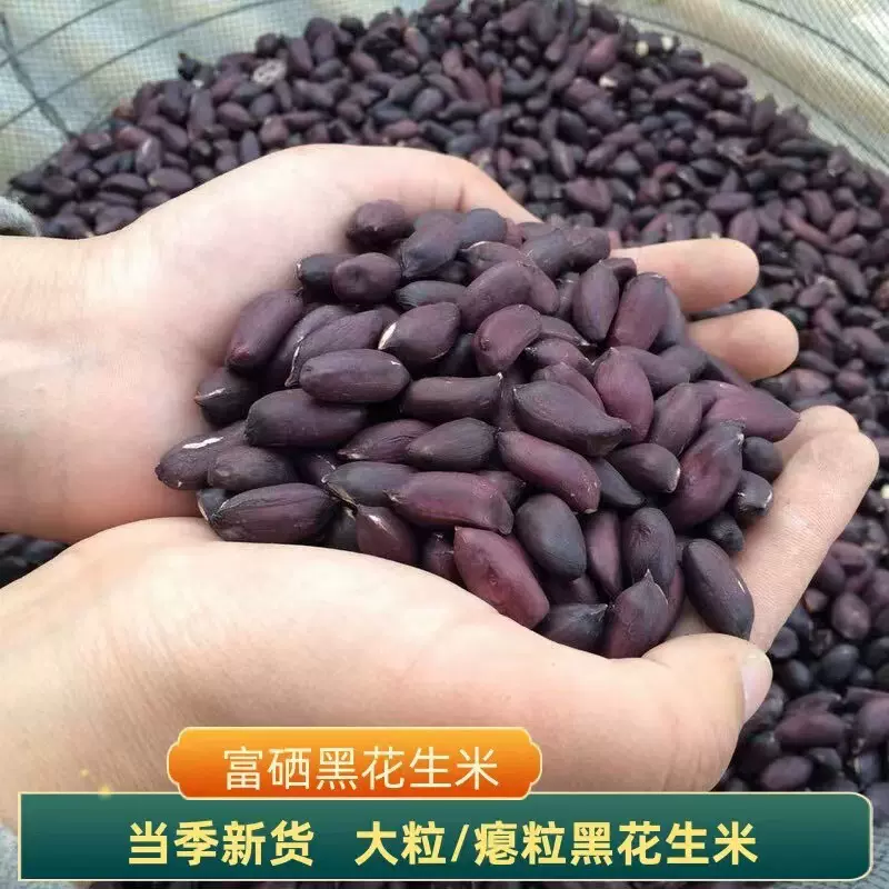 云南黑花生米生新货黑皮大粒花生米500g新货手工精选养胃不带壳