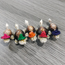 天然贝壳海螺工艺品小乌龟眼镜博士龟家居装饰摆件地摊夜市纪念品