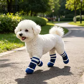 宠物袜子
