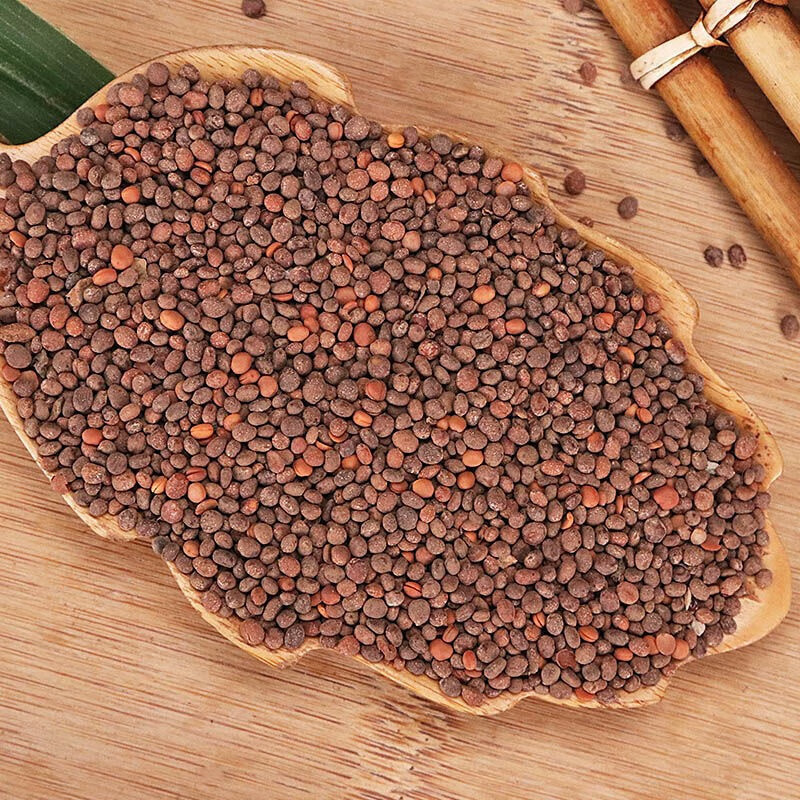 Garden Balsam Seed Ji Xing Zi 急性子 500g Dried Impatiens Balsamina Seeds Traditional Chinese Herb specifications