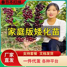 һl܇ӘҘmͥԺҹϱNֲ