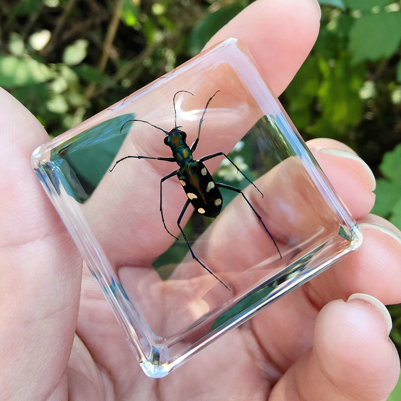 레몬 옐로우 타이거 네일