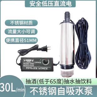 Stainless Steel Water Pump, Wine Pump, Self-Priming Electric Food-Grade Water Pipe, Small Household 220V Submersible Rod Qingyi
