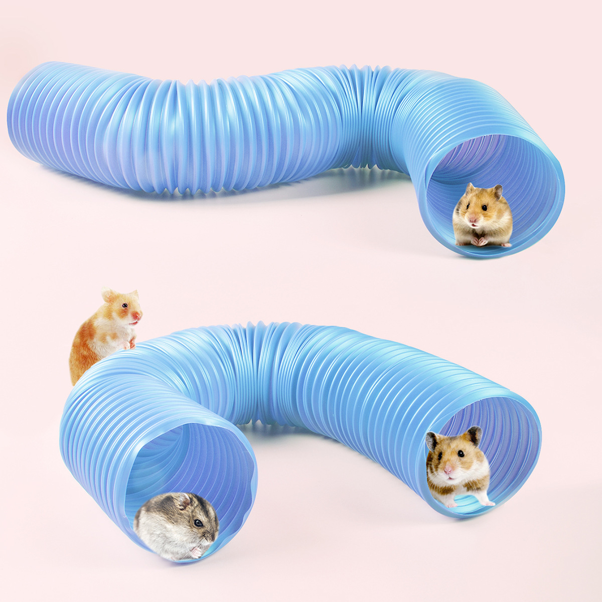 亚马逊伸缩通道兔子荷兰猪雪貂仓鼠花枝鼠刺猬龙猫隧道玩具现货
