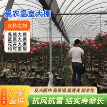 连栋大棚椭圆管钢管大棚温室大棚骨架养殖种植加工定制定制花卉棚