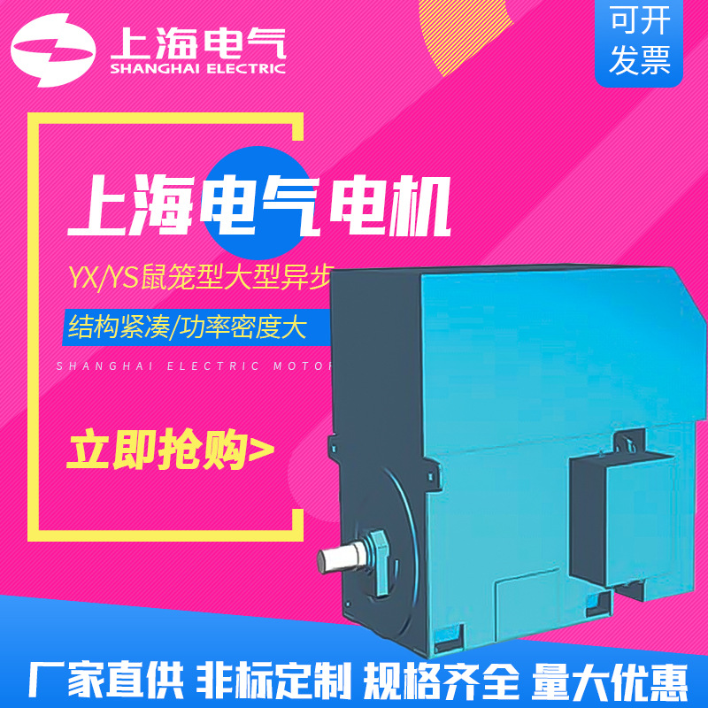 上海电气集团上海电机厂电动机YS/YX鼠笼型大型异步电机630kW厂商