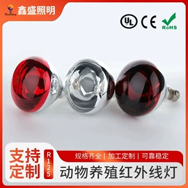 普通白炽灯;聚光灯泡;其他白炽灯