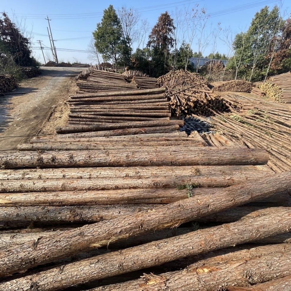 4975520f-674e-4e98-8bbd-038202a4aefb.jpe