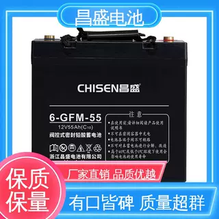 昌盛 6-GFM-55 ups电源 电池批发 邮电通信系统 成本较低