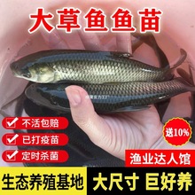 ���|����~�~�����l���ˮ���Bֳʳ�������ˮ�^�p�~С�~����]