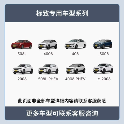 Peugeot 4008/308/5008/408 Dash Cam Driving recorder