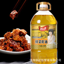 廚道菜籽油5L大桶裝 實惠餐飲炒菜烹飪食用油  純物理壓榨制油
