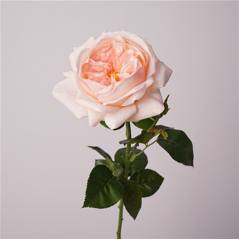 Moisturizing juliet - light pink