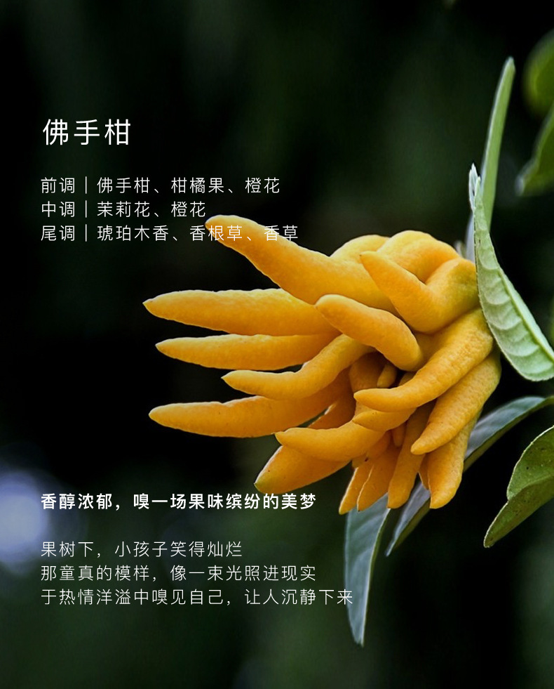 土耳其500沐浴乳详情页_04