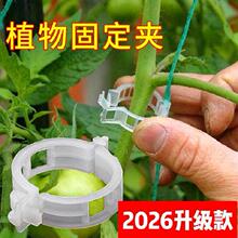 ���Ͻ���֦�������@ˇֲ��̶��A�����t���̶��A