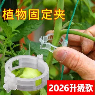 跨境热销植物夹塑料绑蔓夹绑枝夹吊蔓夹扶蔓夹西红柿夹藤蔓固定夹
