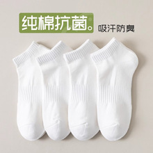 �������ļ�����������������������ҵ��ɫǳ�ڶ�����ʿ����������