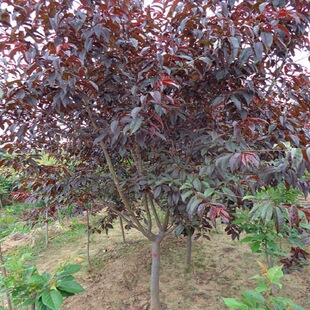 ���جF؛�������~���� 3-10���� �t�~����5���� ���΃��� ����