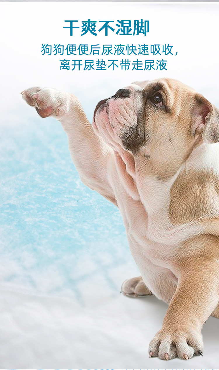 第七套宠物尿垫详情页_05.jpg