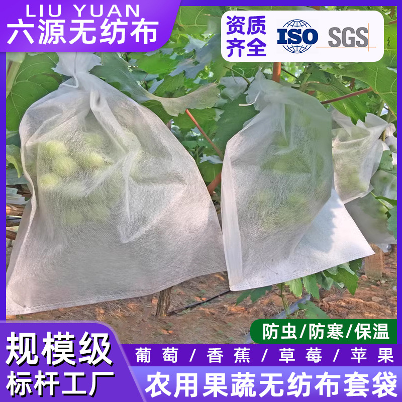 农用育秧果蔬无纺布阳光玫瑰葡萄套袋专用种植透气防寒防虫保护袋