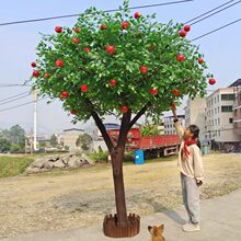 �����҃������ˮ�����O�������Ә����Ә�ʯ����̈��Ƶ��쾰�b�