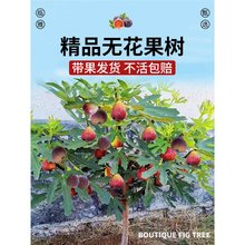 �o��������玧�����Բ����t�ϱ����ļ��Nֲ�ش���ń����ͺ�����