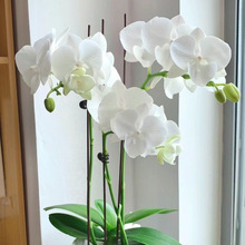 �����m�������ļ��_�������҃ȿ͏d�Gֲ���ܾ��^��Ʒ���B��Ʒ