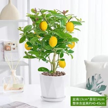 ��ˮ���ʘ������҃Ȼ���ֲ����B�׻��ļ������ʳ���Ϙ��辰�Gֲ