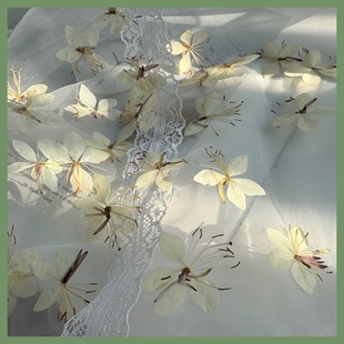 ������ɽ�Ҳ݉��ɻ��滨ֲ��˱� ���z�Ʒ Ѻ��̨������DIY�ֹ�