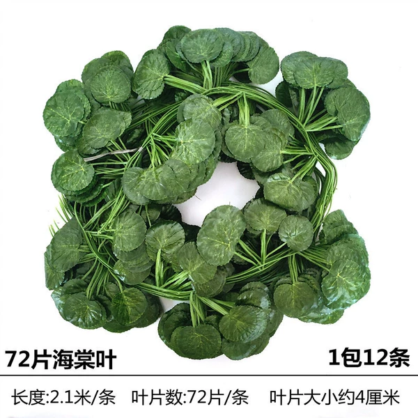 72 slices of begonia leaves 1 pack (12 pieces)