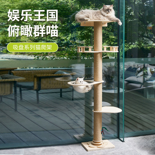 �羳���P����؈��ͨ����̫��œ؈��؈ץ��؈��������ľ̤��؈�Ҿ�