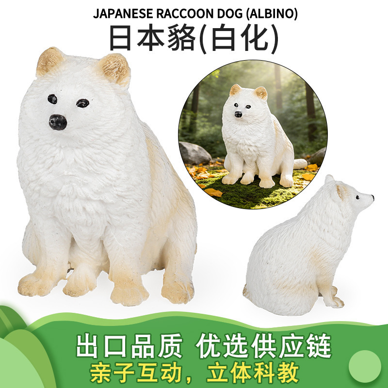 Cross-Border Realistic Animal Model Toys: Cute Japanese Raccoons, Flying Squirrels, Golden Monkeys, White Rabbits, Squirrels, Shiba Inus, Bearded Dragons Cross-Border Realistic Animal Model Toys: Cute Japanese Raccoons, Flying Squirrels, Golden Monkeys, White Rabbits, Squirrels, Shiba Inus, Bearded Dragons