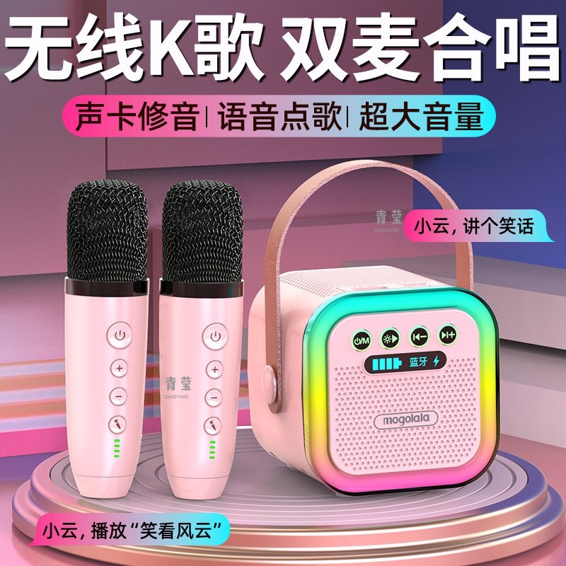 Wireless Bluetooth Audio Mini Handheld Microphone Singing and Karaoke All-In-One Kidsren's Home Ktv Audio Set