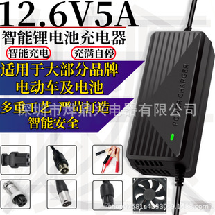 12V�ƿ18650�ۺ���늳ؽM늄�܇����һ�w�C12.6V5A�늳س����