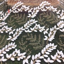 ��ɫ�W���̽����Ͻ�z����ţ�̽z���~���w����������ӻ��ٽz����