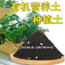 多肉植物泥土 多肉植物泥土批發 促銷價格 產地貨源 阿里巴巴