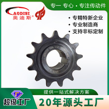 厂家批发AODISI精密传动链轮单双排双节距齿轮 单排双排不锈钢链