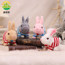 �¿�늄�ë�q���Ӵ��·��ɐ�С�Õ��ܕ����c�^�uβ��Ů����߶Y��