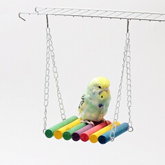 牡丹虎皮玄鳳鶏用木製玩具、梯子、秋千、吊り輪、鳥用吊橋、噛む・登る用具