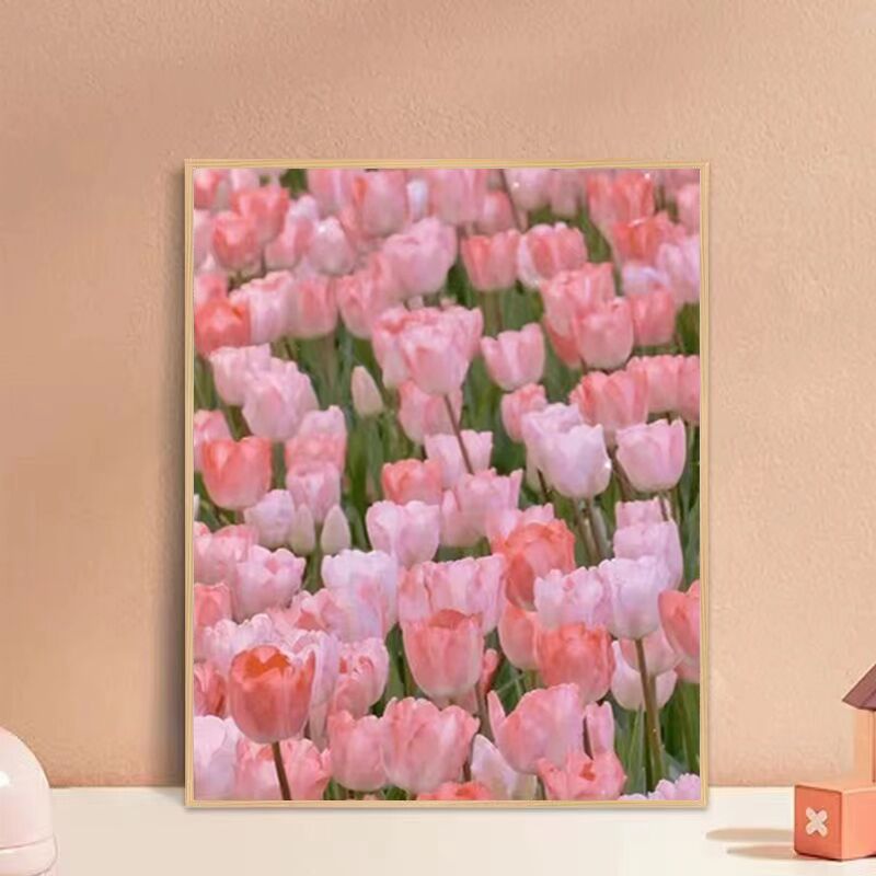 Caqui pintura simple pintura decorativa pintura china todo va bien bricolaje pintura al óleo digital pintado a mano pintura al óleo de relleno estilo chino