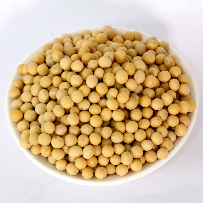 �ƶ���������������420g����»������������ѿ�����򶹽�