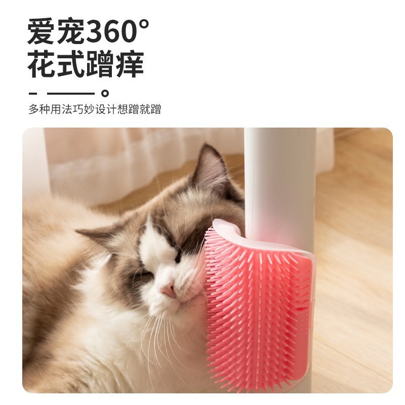 猫の壁の隅に毛をこすります。壁の隅にマッサージします。|undefined
