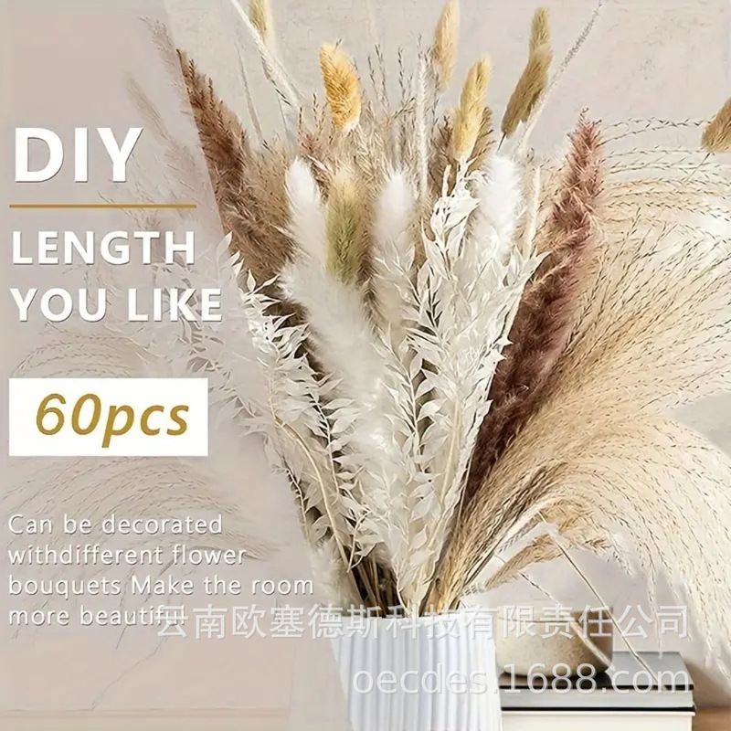 Dust small reed octagonal flower unicorn grass rabbit tail grass suit dried flower bouquet suit bohemian style home decoration Dust small reed octagonal flower unicorn grass rabbit tail grass suit dried flower bouquet suit bohemian style home decoration