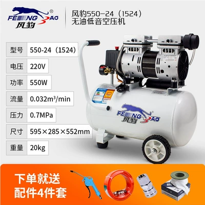 Hava kompressorları Oil-Free Bass Air Compressor 220V - oil-free-152424l-550w