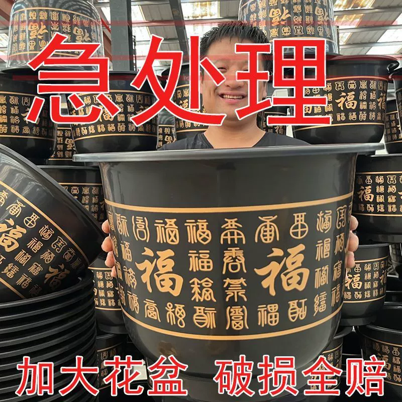 Flowerpot, direct factory sales, increased thickness