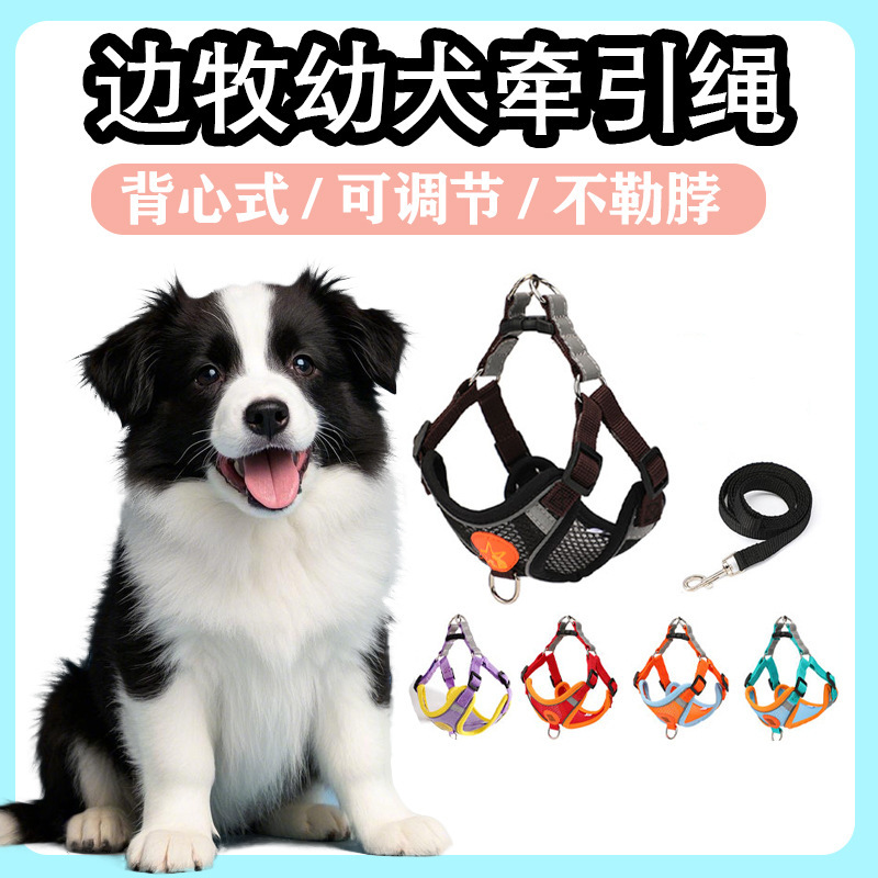 ボーダーコリー子犬用リード、子犬のお出かけ専用チェストバック犬用リード、子犬・大型犬用噛みつき防止ペット用品|undefined