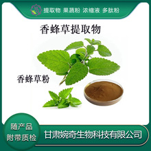 香蜂草提取物10：1香蜂草粉 薄菏香脂 香蜂草浸膏 婉奇生物 现货